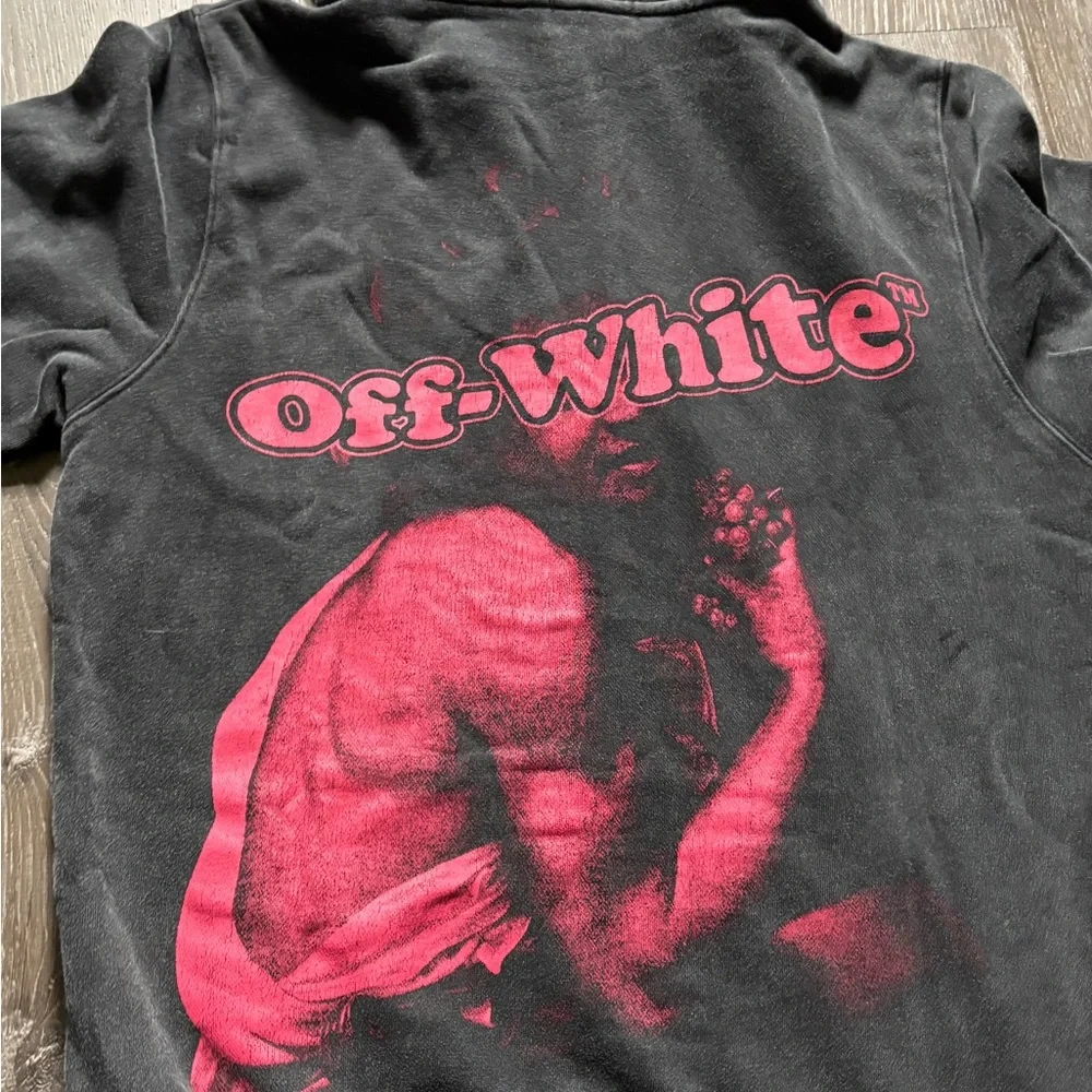 Off-White Hoodie - Picture 9 of 11